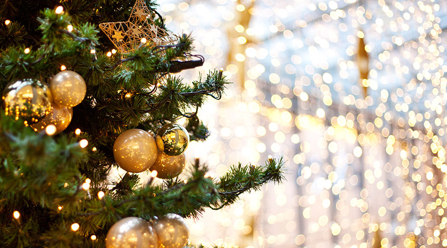 Christmas tree and lights.