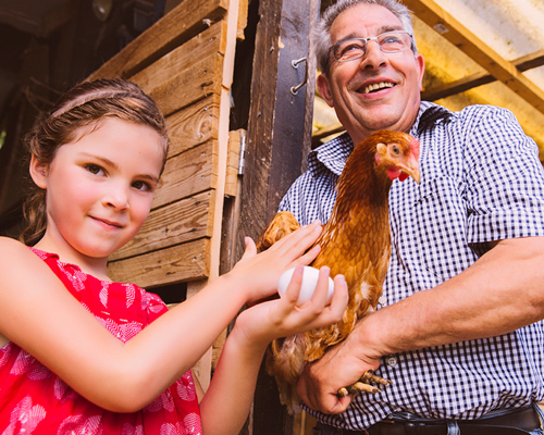 Young girl and older man holding a chicken and egg at the fair.