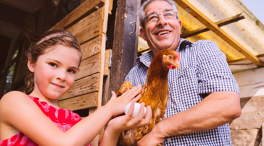 Young girl and older man holding a chicken and egg at the fair.