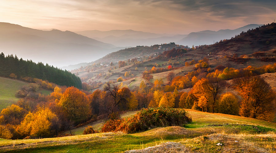 Pretty fall scenery.