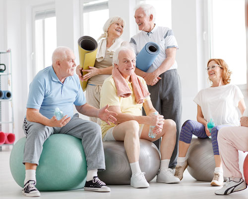 Group of seniors sitting on exercise balls.