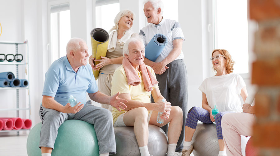 Group of seniors sitting on exercise balls.