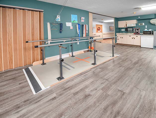 ellsworth rehab bars