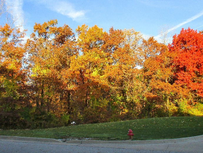 The changing leaves during fall create a beautiful view for residents at Good Samaritan Society - Ottumwa in Ottumwa, Iowa.