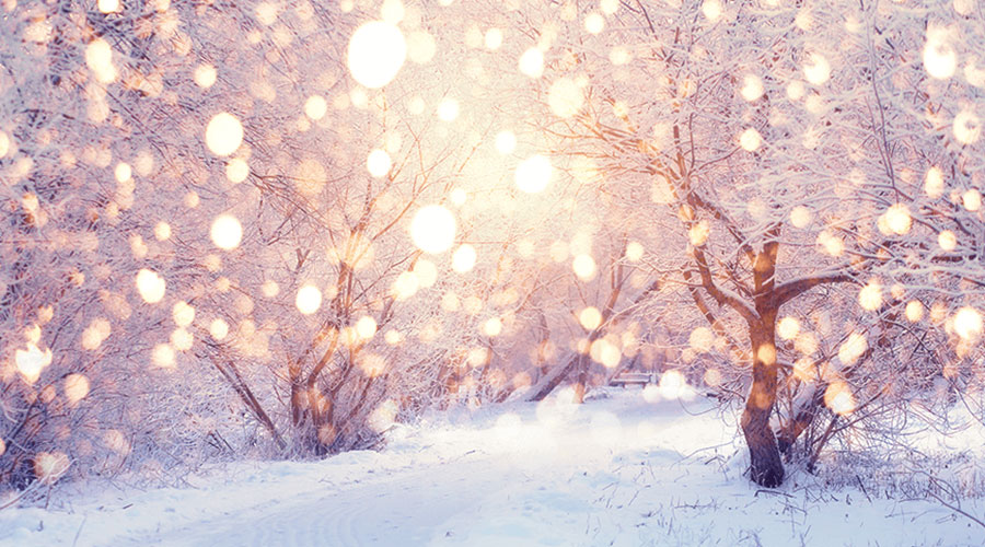 A wintery, Christmas scene with snow blowing and beautiful lights brightening the trees.