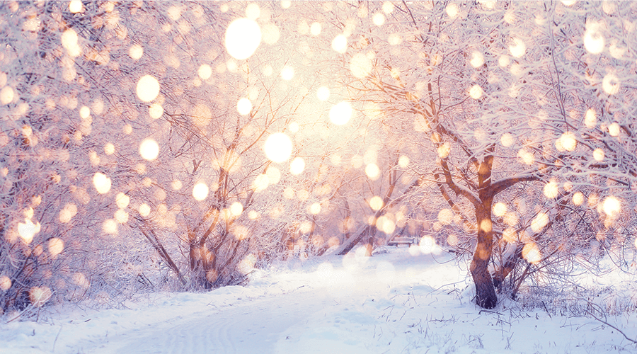 A wintery, Christmas scene with snow blowing and beautiful lights brightening the trees.