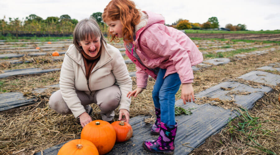 Grandkid and grandparent picking pumpkins.