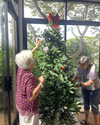 Putting up the Christmas tree.