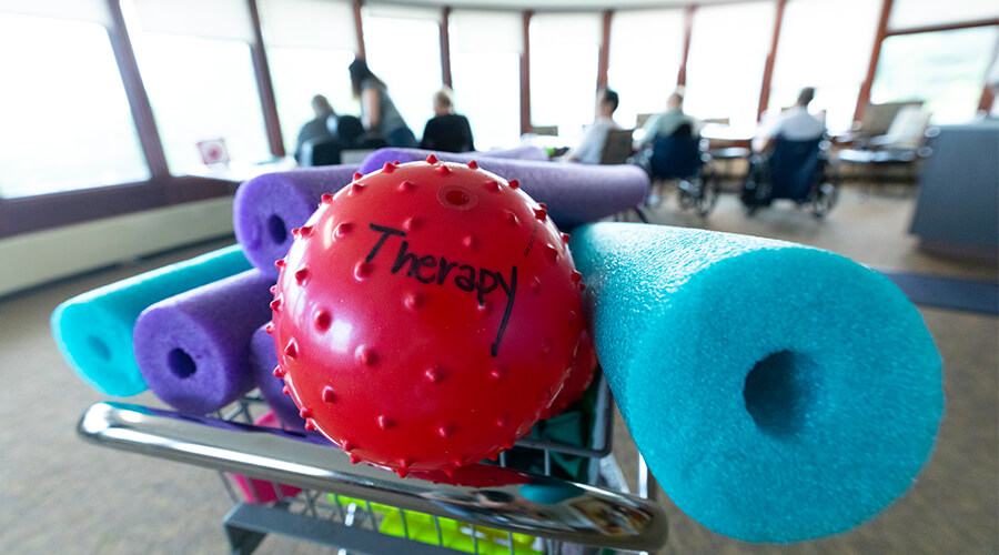 Therapy ball and pool noodles
